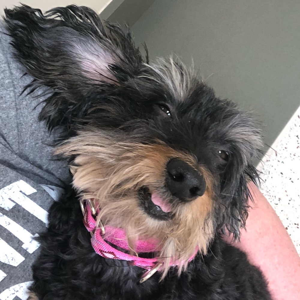 Meet your Posher, Candace